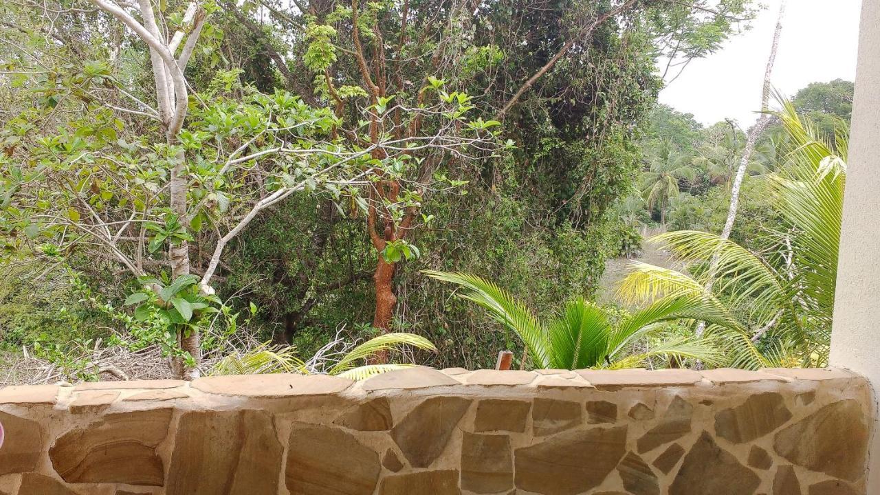 Montezuma Hills - Two Houses In A Private Compound Luaran gambar