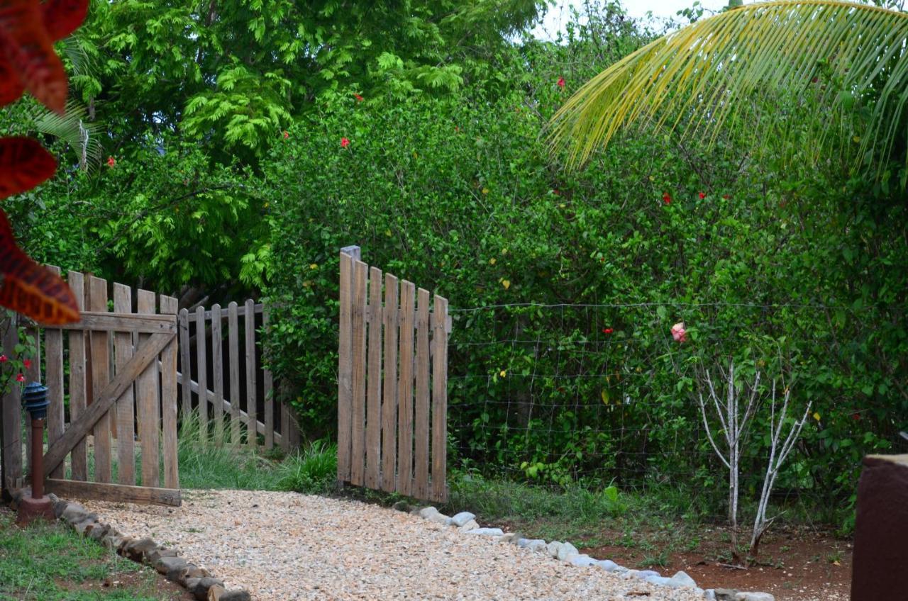 Montezuma Hills - Two Houses In A Private Compound Luaran gambar